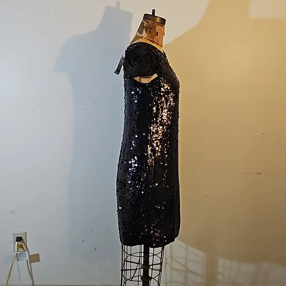 Sequins anyone?   Darling NWT Banana Republic size 4 dress - Picture 7 of 13